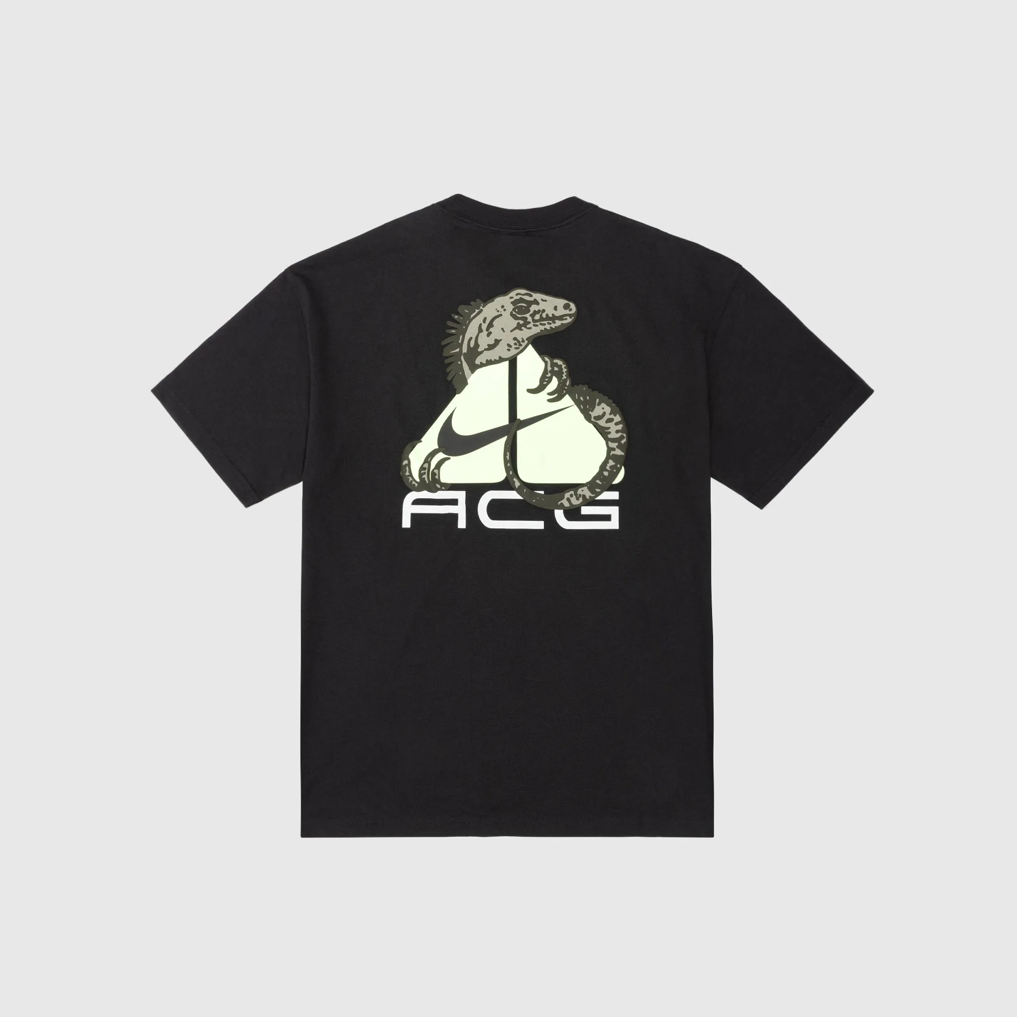 ACG ALL CONDITIONS GEAR S/S T-SHIRT