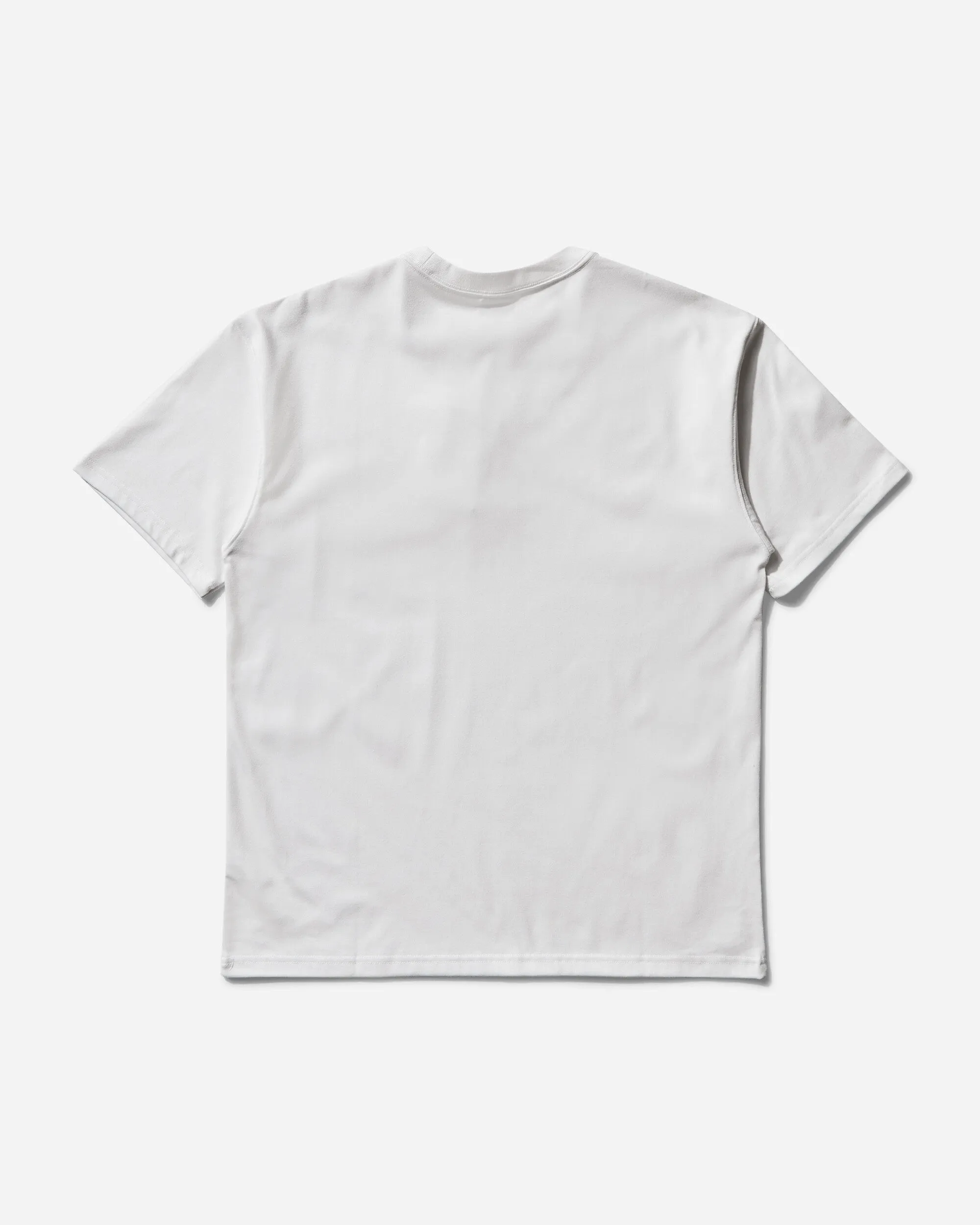 Men's ACG Lungs T-Shirt Summit White