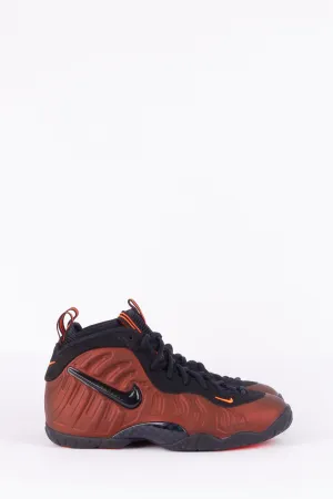 Nike Air Foamposite Pro 'Color Shift' (GS) Penny