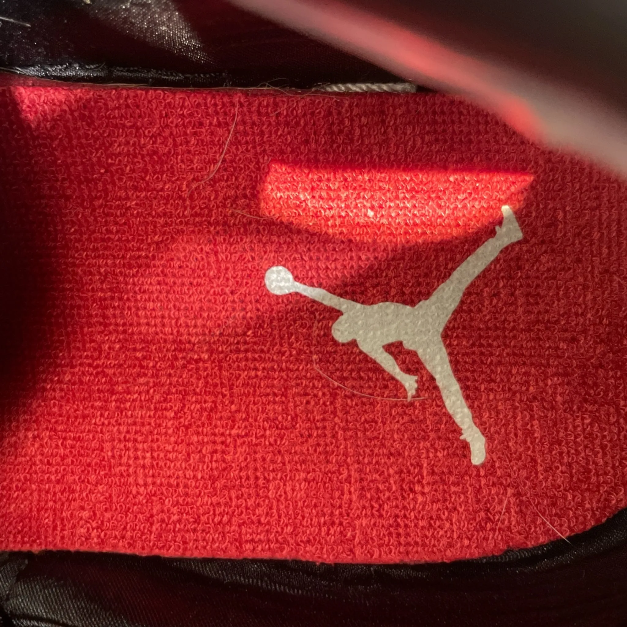 NIKE/Hi-Sneakers/US 11/All Over Print/Fake Fur/BLK/Air Jordan 3 Animal Instinct