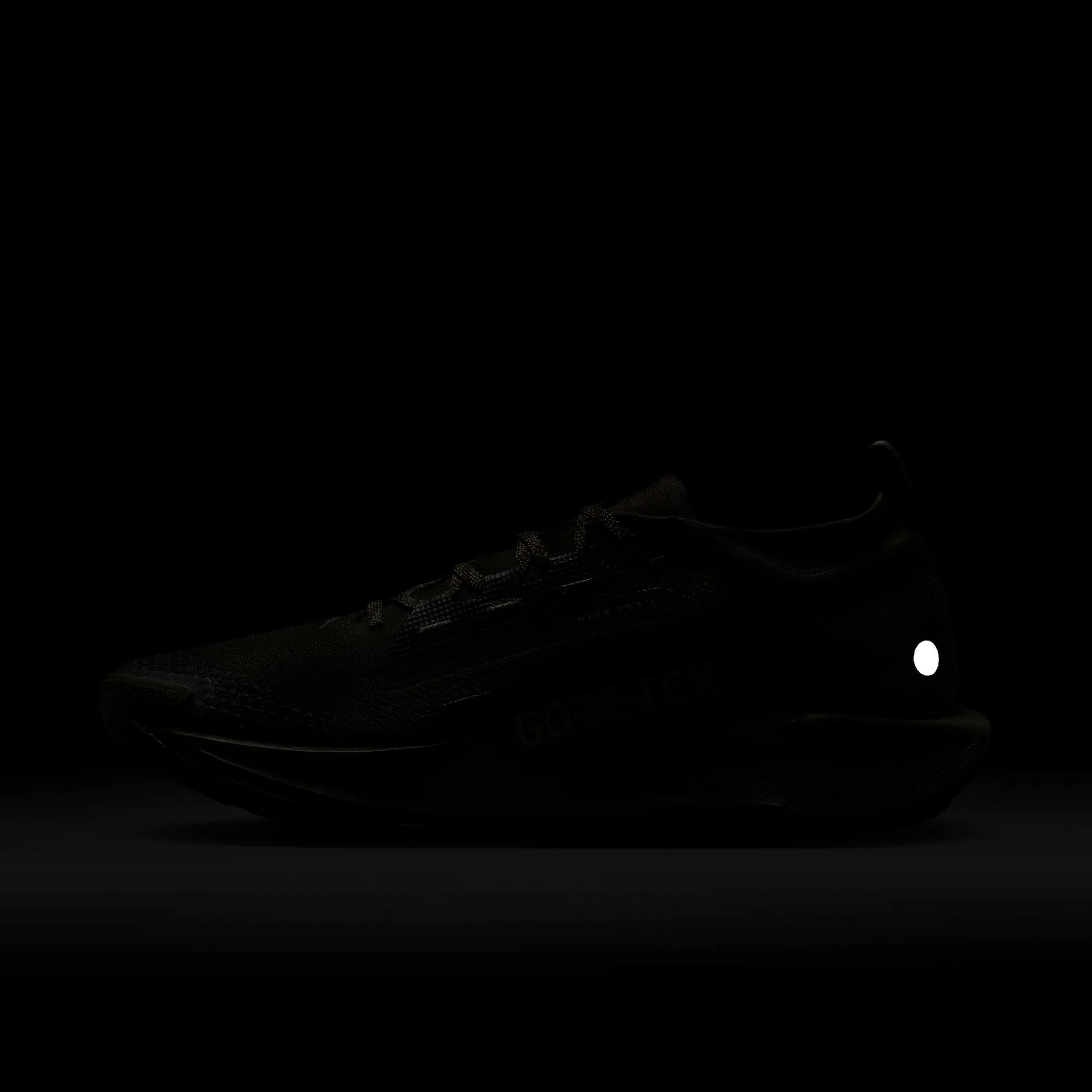 Pegasus Trail 5 GORE-TEX SP