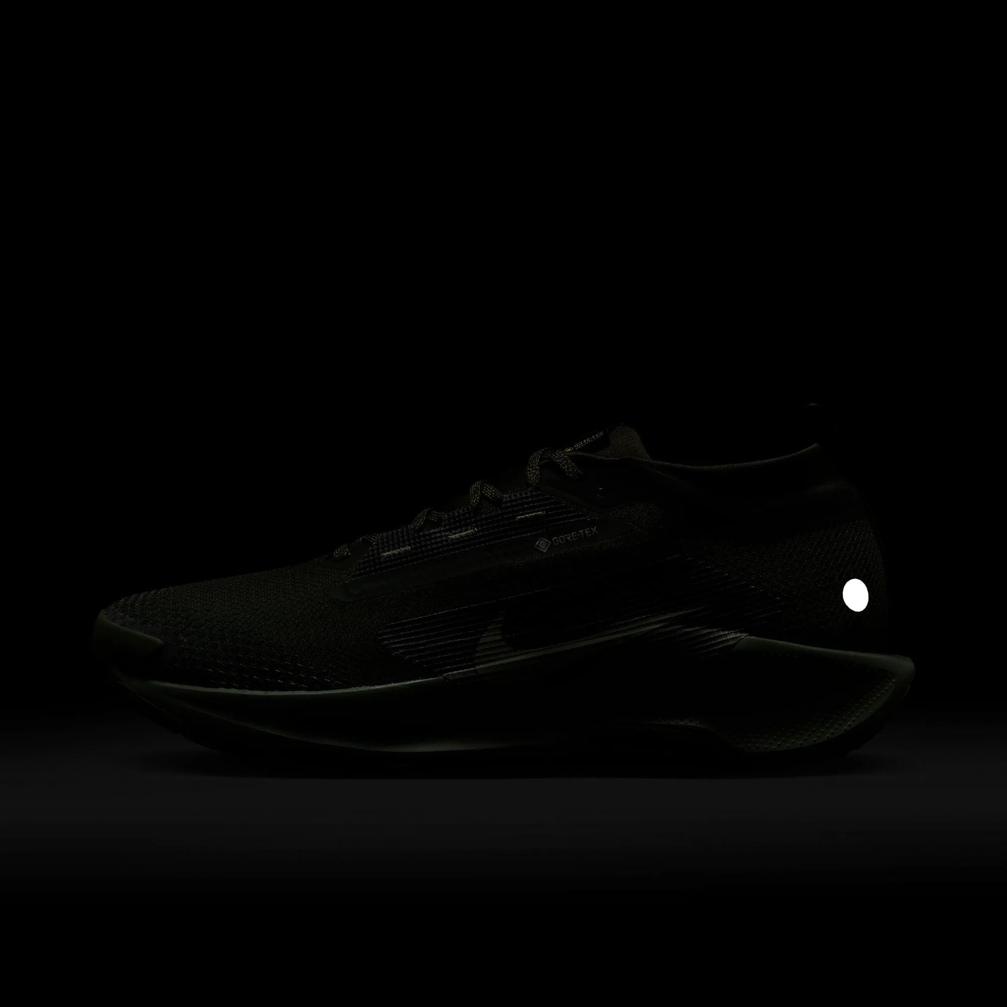 Pegasus Trail 5 GORE-TEX SP