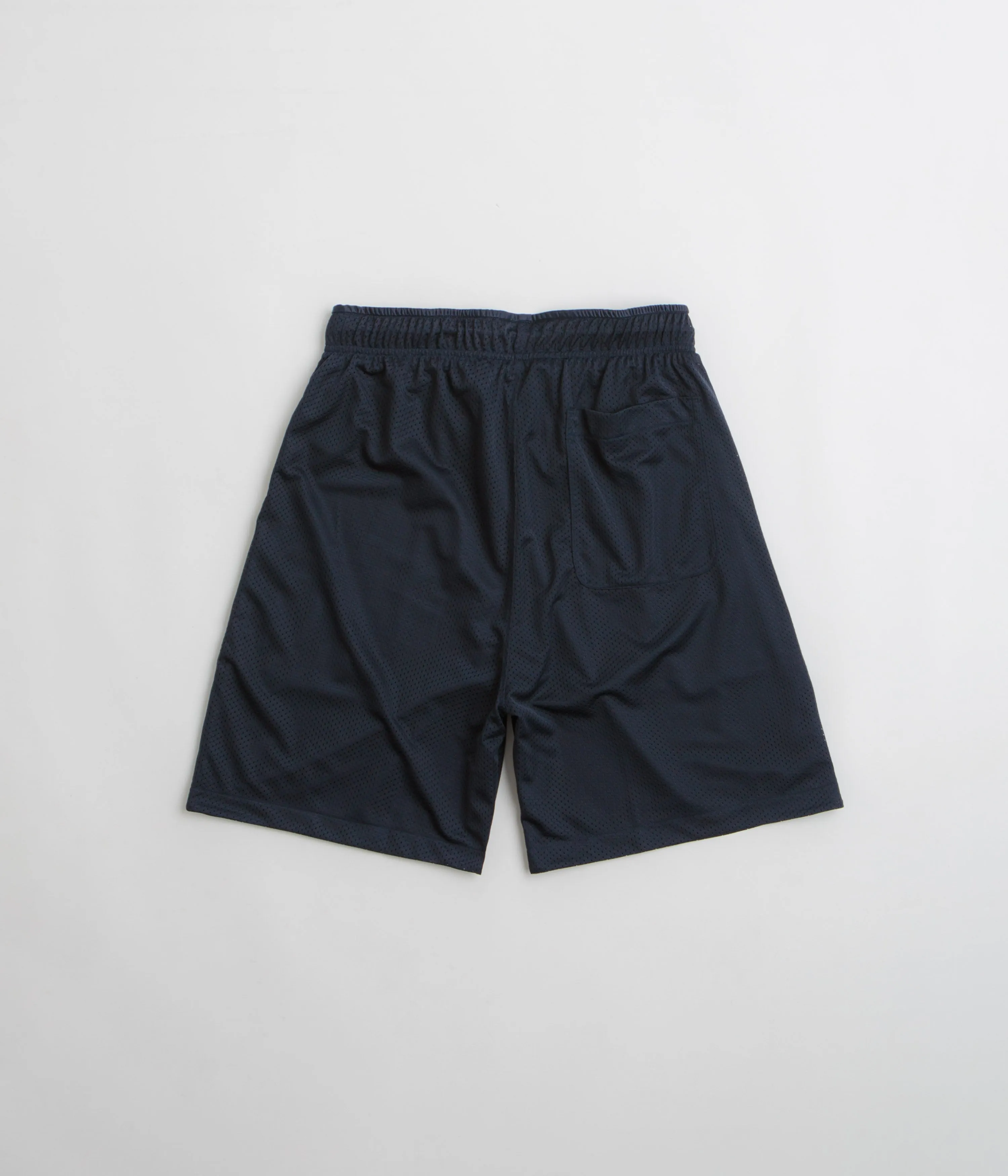 Polar Ray Shorts - Navy