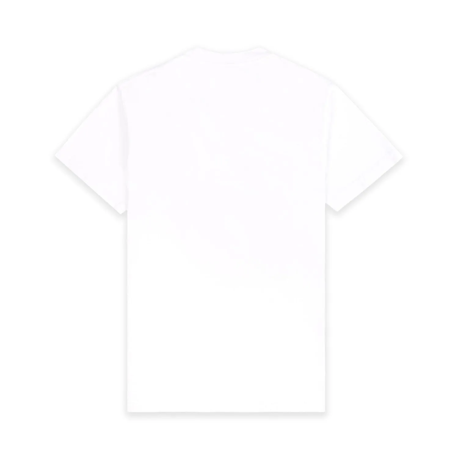 USA Wellness Club T-Shirt